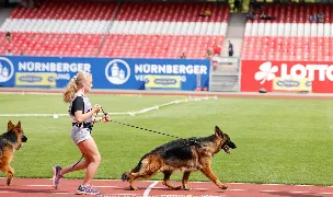 Vom Storociuc — Dog Breeders, România