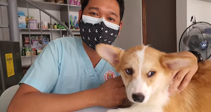 Persoană cu mască stând lângă un câine la cabinetul veterinar