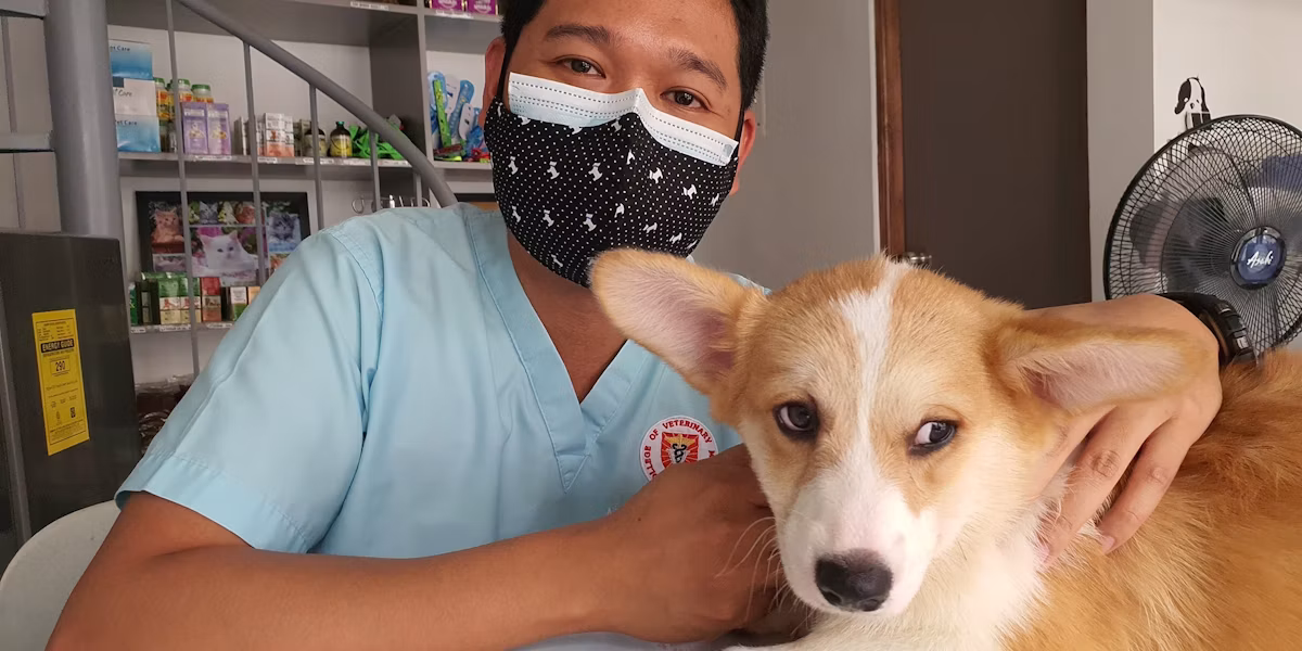 Persoană cu mască stând lângă un câine la cabinetul veterinar