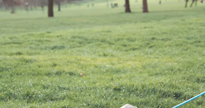 Femeie plimbând un câine în lesă printr-un parc