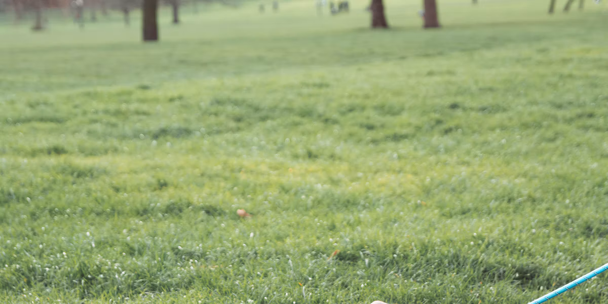 Femeie plimbând un câine în lesă printr-un parc