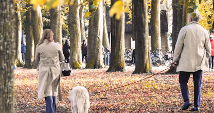 Un bărbat și o femeie plimbând un câine într-un parc