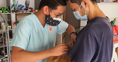 Doi medici veterinari în halate albastre ținând un câine